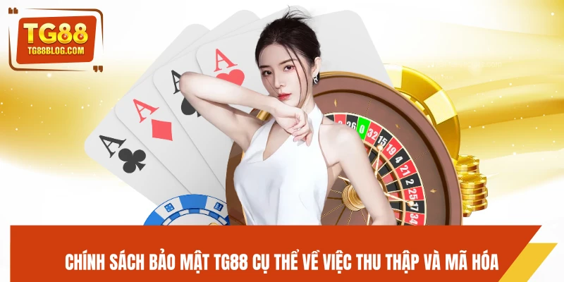 Chính Sách Bảo Mật TG88 - Cam Kết An Toàn Dữ Liệu Người Dùng 5 Chính sách bảo mật TG88 cụ thể về việc thu thập và mã hóa