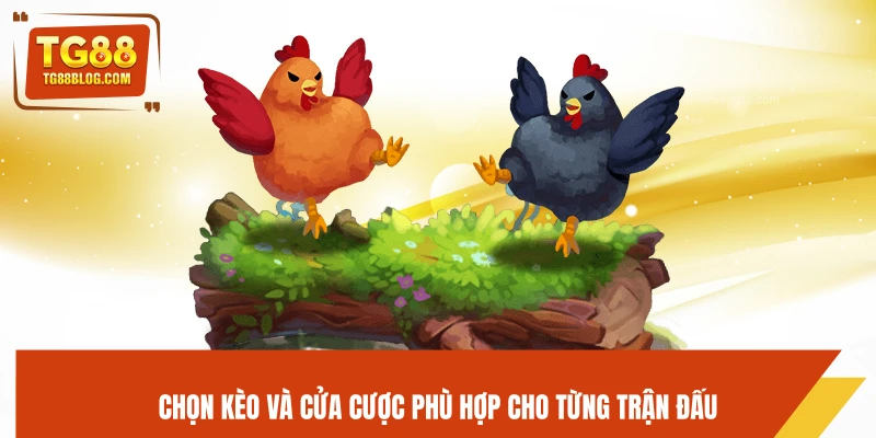 Đá Gà Đòn TG88 - Trận Đấu Kịch Tính, Đỉnh Cao Chiến Thuật 7 Chọn kèo và cửa cược phù hợp cho từng trận đấu