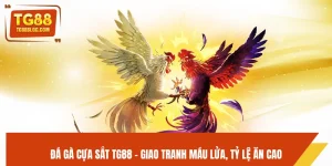 Đá Gà Cựa Sắt TG88 - Giao Tranh Máu Lửa, Tỷ Lệ Ăn Cao