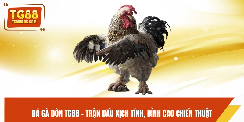 Đá Gà Đòn TG88 - Trận Đấu Kịch Tính, Đỉnh Cao Chiến Thuật 4 Đá Gà Đòn TG88 - Trận Đấu Kịch Tính, Đỉnh Cao Chiến Thuật