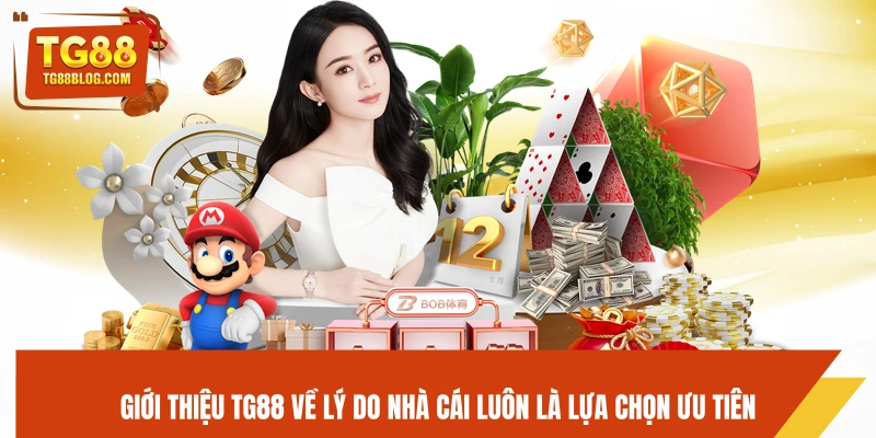 Giới thiệu TG88 về lý do nhà cái luôn là lựa chọn ưu tiên
