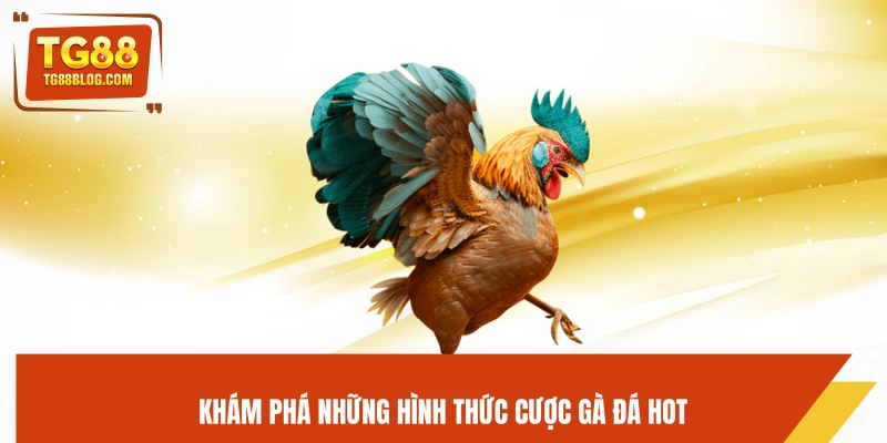 Đá Gà TG88 – Trực Tiếp Kịch Tính, Cược Chuẩn Dễ Ăn 5 Khám phá những hình thức cược gà đá hot