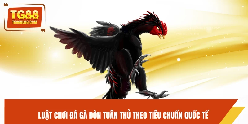 Đá Gà Đòn TG88 - Trận Đấu Kịch Tính, Đỉnh Cao Chiến Thuật 6 Luật chơi đá gà đòn tuân thủ theo tiêu chuẩn quốc tế