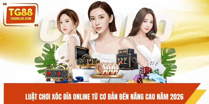 Xóc Đĩa Online TG88 – Game Dân Gian Hot, Chơi Nhanh Thắng Lớn 6 Luật chơi xóc đĩa online từ cơ bản đến nâng cao năm 2026
