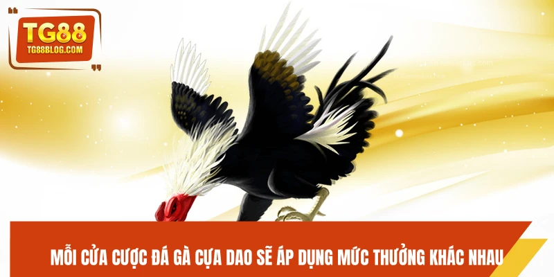 Đá Gà Cựa Dao TG88 - Ra Đòn Nhanh, Kết Liễu Trong Chớp Mắt 6 Mỗi cửa cược đá gà cựa dao sẽ áp dụng mức thưởng khác nhau